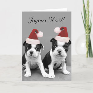 Cartes Pour Fêtes Annuelles Joyeux Noël Boston Terriers greeting card