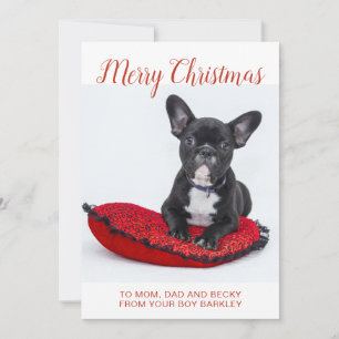 Cartes Pour Fêtes Annuelles Joyeux Noël Bouledogue Français Sur Coussin à la F