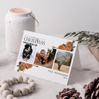 Joyeux Noël Calligraphie Citrus Botanique Photo