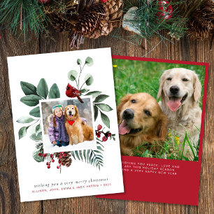Cartes Pour Fêtes Annuelles Joyeux Noël Cardinal Rouge 2 Photo