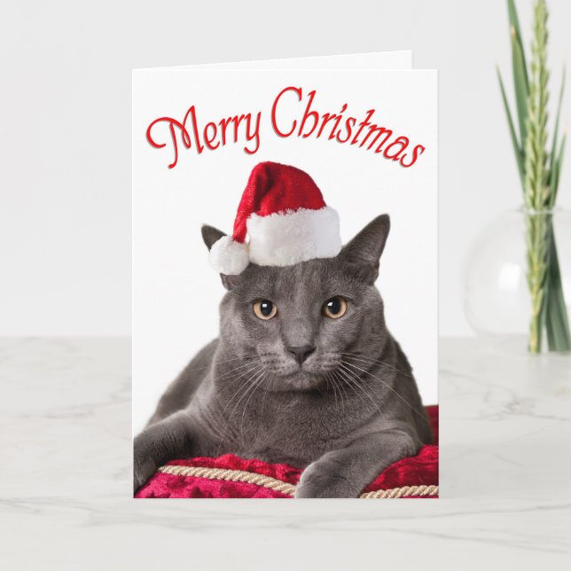Cartes Pour Fêtes Annuelles Joyeux Noël, Cat Christmas Card (Devant)