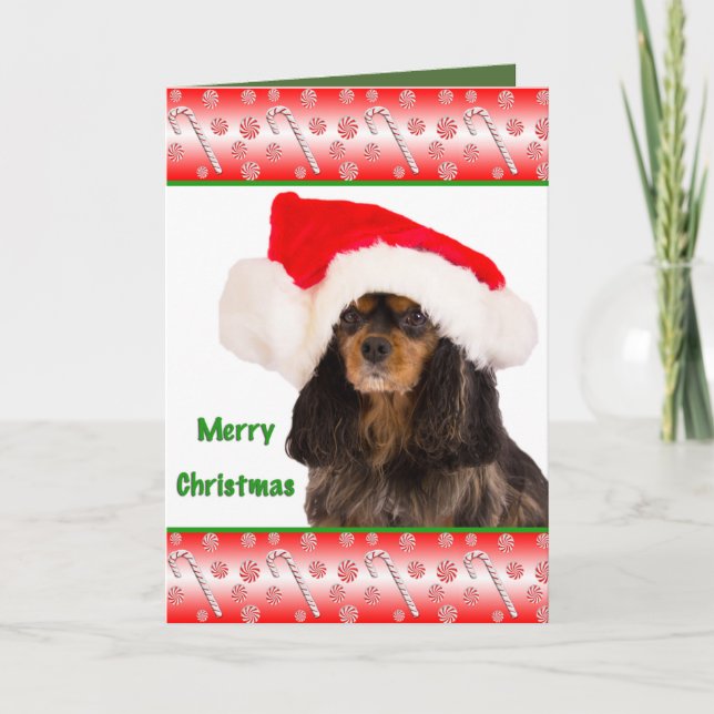 Cartes Pour Fêtes Annuelles Joyeux Noël Cavalier King Charles Card (Devant)