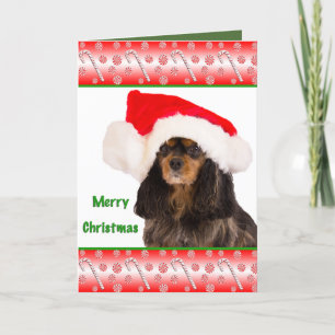 Cartes Pour Fêtes Annuelles Joyeux Noël Cavalier King Charles Card