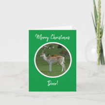 Joyeux Noël Cerf