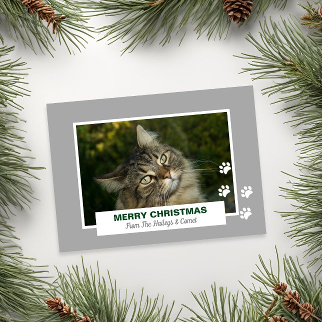 Cartes Pour Fêtes Annuelles Joyeux Noël Chat Blanc Empreintes de pattes Photo (Merry Christmas Cat White Paw Prints Photo Holiday Card)