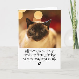 Cartes Pour Fêtes Annuelles Joyeux Noël Chat de compagnie drôle