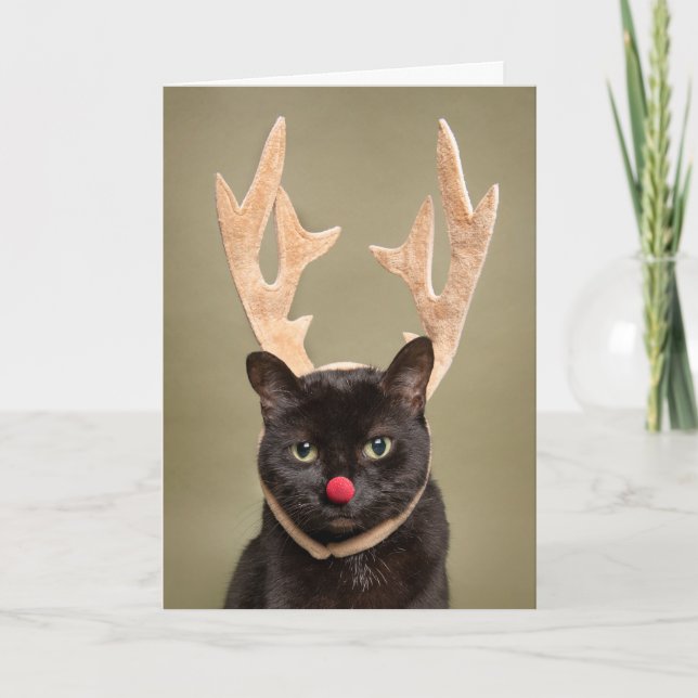 Cartes Pour Fêtes Annuelles Joyeux Noël Chat Drôle avec Bois de Renne (Devant)