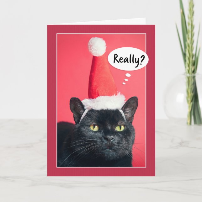 Cartes Pour Fêtes Annuelles Joyeux Noël Chat Irrité en Chapeau de Père Noël Hu (Devant)