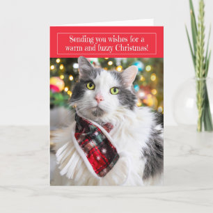 Cartes Pour Fêtes Annuelles Joyeux Noël Chat Mignon au Foulard de Fête