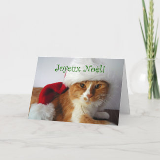 Cartes Pour Fêtes Annuelles Joyeux Noël - Chat portant le chapeau du Père Noël