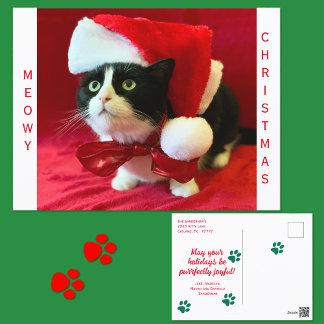 Cartes Pour Fêtes Annuelles Joyeux Noël Chat Smoking