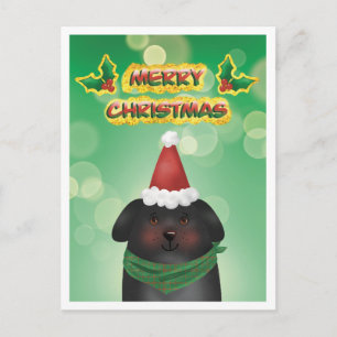 Cartes Pour Fêtes Annuelles Joyeux Noël Chien au Chapeau de Père Noël