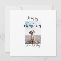 Joyeux Noël chien chat photo cadeaux de fêtes