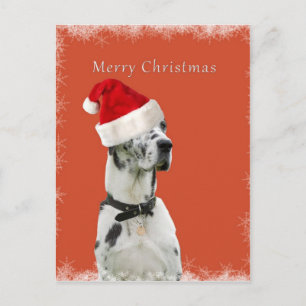 Cartes Pour Fêtes Annuelles Joyeux Noël. Chien dalmatien dans un casquette de
