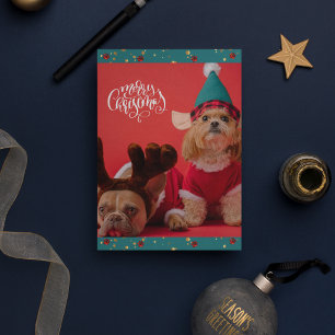 Cartes Pour Fêtes Annuelles Joyeux Noël Chien Mignon Noël