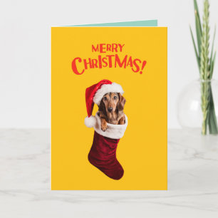 Cartes Pour Fêtes Annuelles Joyeux Noël Chien Teckel Mignon 