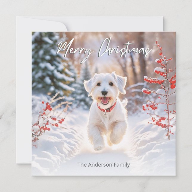 Cartes Pour Fêtes Annuelles Joyeux Noël Chien Terrier Sealyham Mignon Dans La  (Devant)