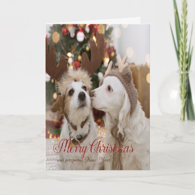 Cartes Pour Fêtes Annuelles Joyeux Noël, Chiens Amoureux (Devant)