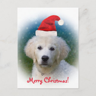 Cartes Pour Fêtes Annuelles Joyeux Noël ! chiot mignon de golden retriever de