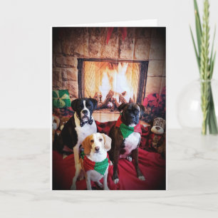 CARTES POUR FÊTES ANNUELLES JOYEUX NOËL COSY/CHALEUREUX / HEUREUX NOUVEL AN
