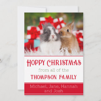 Cartes Pour Fêtes Annuelles Joyeux Noël Coutume Lapin Photo