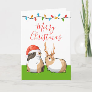 Cartes Pour Fêtes Annuelles Joyeux Noël Cute Guinea Pigs Père Noël Reindeer