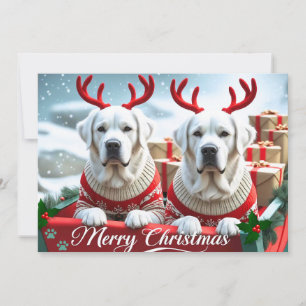 Cartes Pour Fêtes Annuelles Joyeux Noël Cute Yellow Labs Personnalisé