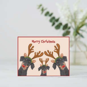 Cartes Pour Fêtes Annuelles Joyeux Noël Dachshund Reindeer Red Doggone