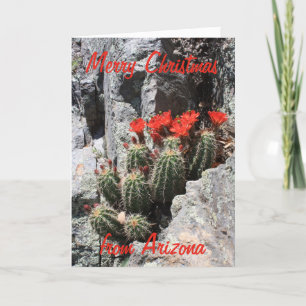 Cartes Pour Fêtes Annuelles Joyeux Noël d'Arizona