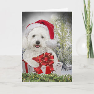 Cartes Pour Fêtes Annuelles Joyeux Noël de Bichon Frise