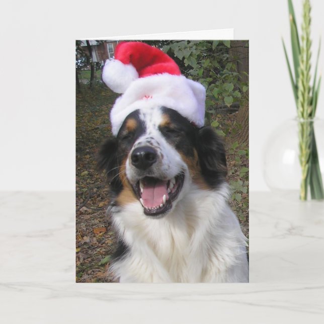 Cartes Pour Fêtes Annuelles Joyeux Noël de Bryn (Devant)