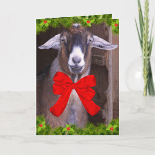 Cartes Pour Fêtes Annuelles Joyeux Noël de chèvre mignonne