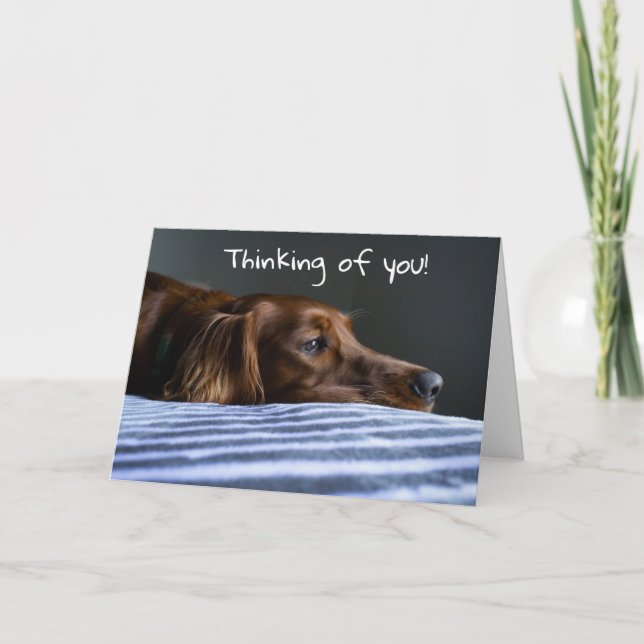 Cartes Pour Fêtes Annuelles "JOYEUX NOËL" DE CHIEN Doux (Devant)