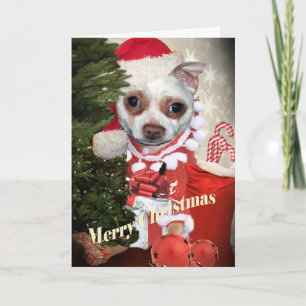 Cartes Pour Fêtes Annuelles Joyeux Noël de chiwawa