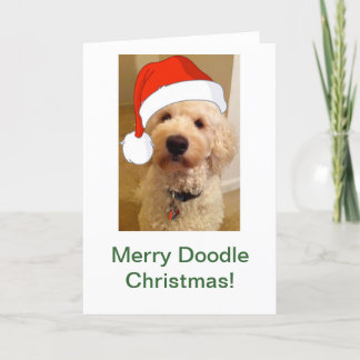 Cartes Pour Fêtes Annuelles Joyeux Noël de Doodle !