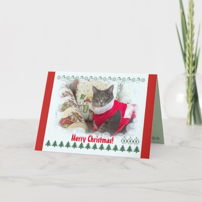 Cartes Pour Fêtes Annuelles Joyeux Noël de jolie chatte (Devant)