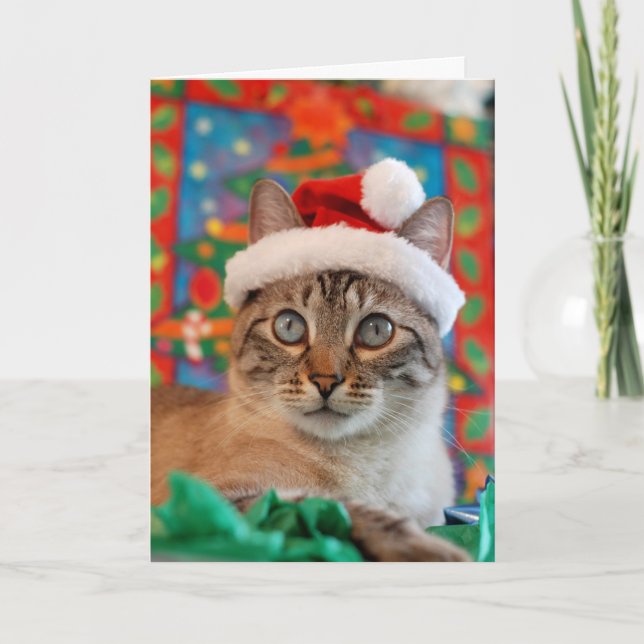 Cartes Pour Fêtes Annuelles Joyeux Noël de Meowy de Kitty Père Noël ! (Devant)