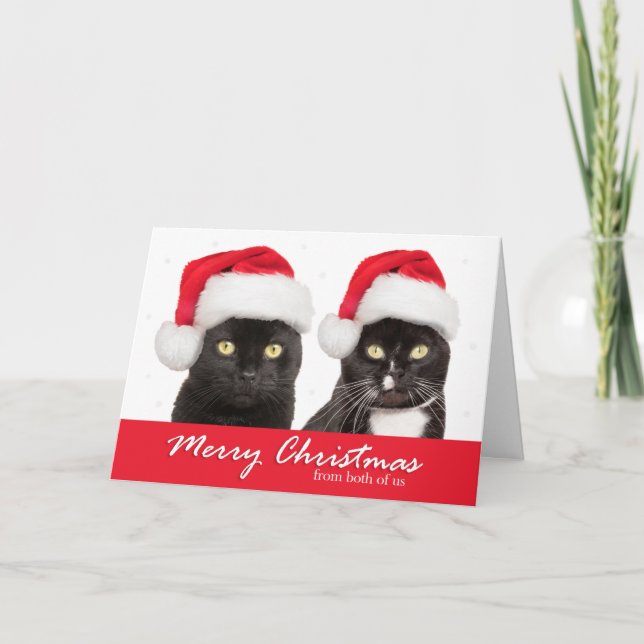 Cartes Pour Fêtes Annuelles Joyeux Noël de nous deux Chats à Santa Hats (Devant)