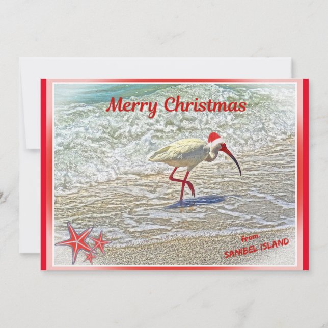 Cartes Pour Fêtes Annuelles Joyeux Noël de Sanibel Island FL White Ibis (Devant)