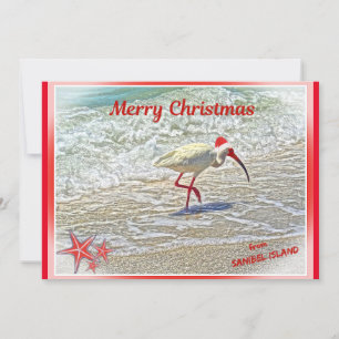 Cartes Pour Fêtes Annuelles Joyeux Noël de Sanibel Island FL White Ibis