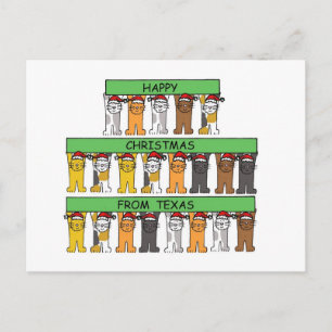 Cartes Pour Fêtes Annuelles Joyeux Noël de Texas Cartoon Cats