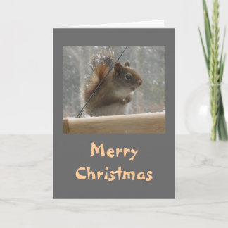 Cartes Pour Fêtes Annuelles Joyeux Noël d'écureuil