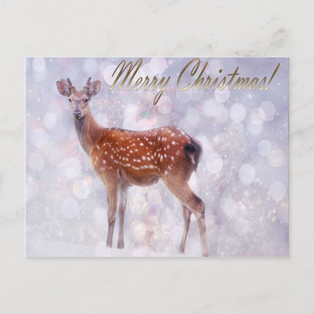 Cartes Pour Fêtes Annuelles Joyeux Noël des amis des cerfs en neige (Devant)