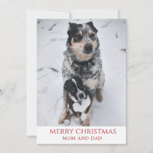 Cartes Pour Fêtes Annuelles Joyeux Noël Des Chiens