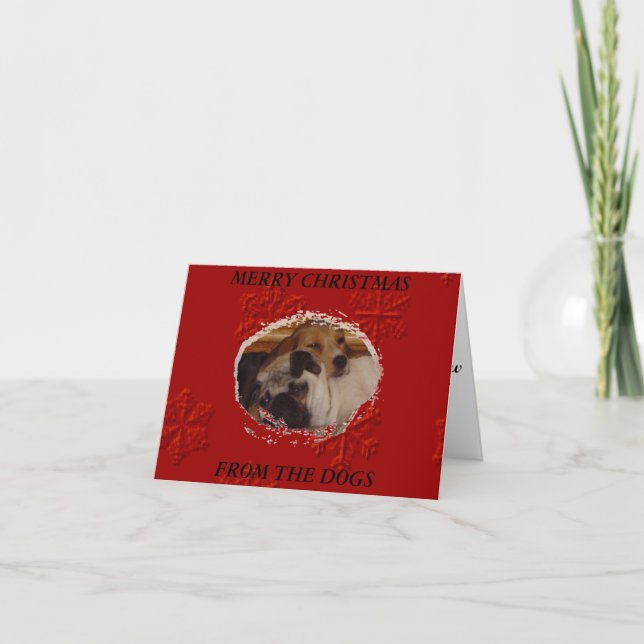 Cartes Pour Fêtes Annuelles Joyeux Noël des chiens (Devant)