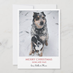 Cartes Pour Fêtes Annuelles Joyeux Noël des chiens