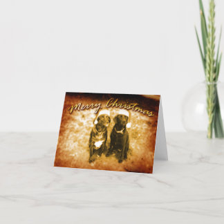 Cartes Pour Fêtes Annuelles Joyeux Noël des chiens de ferme