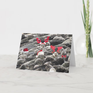 Cartes Pour Fêtes Annuelles Joyeux Noël des phoques