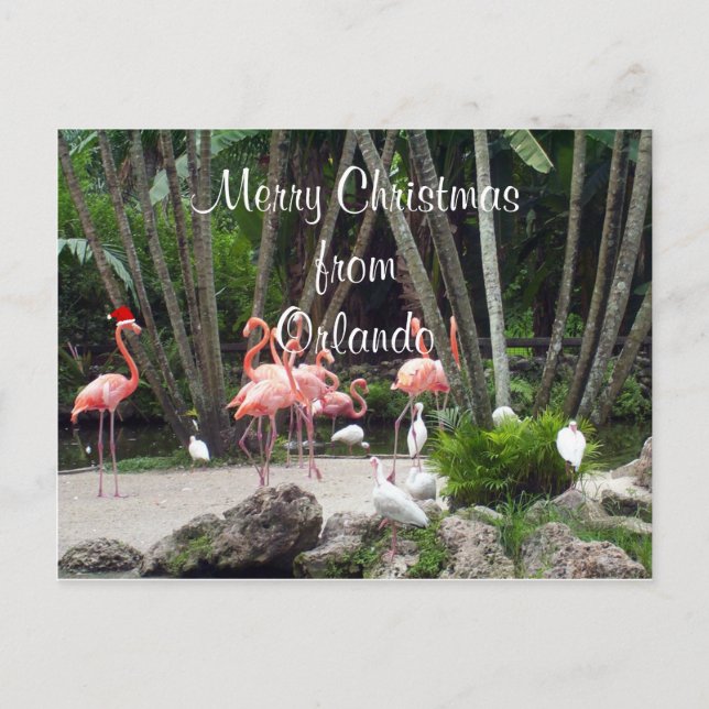 Cartes Pour Fêtes Annuelles Joyeux Noël d'Orlando (Devant)