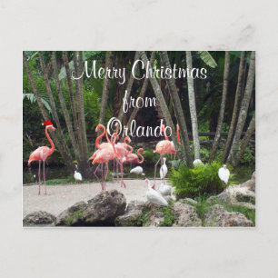 Cartes Pour Fêtes Annuelles Joyeux Noël d'Orlando
